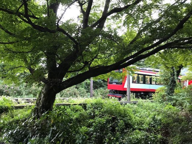 Hotel Umimoto Hakone Exteriér fotografie
