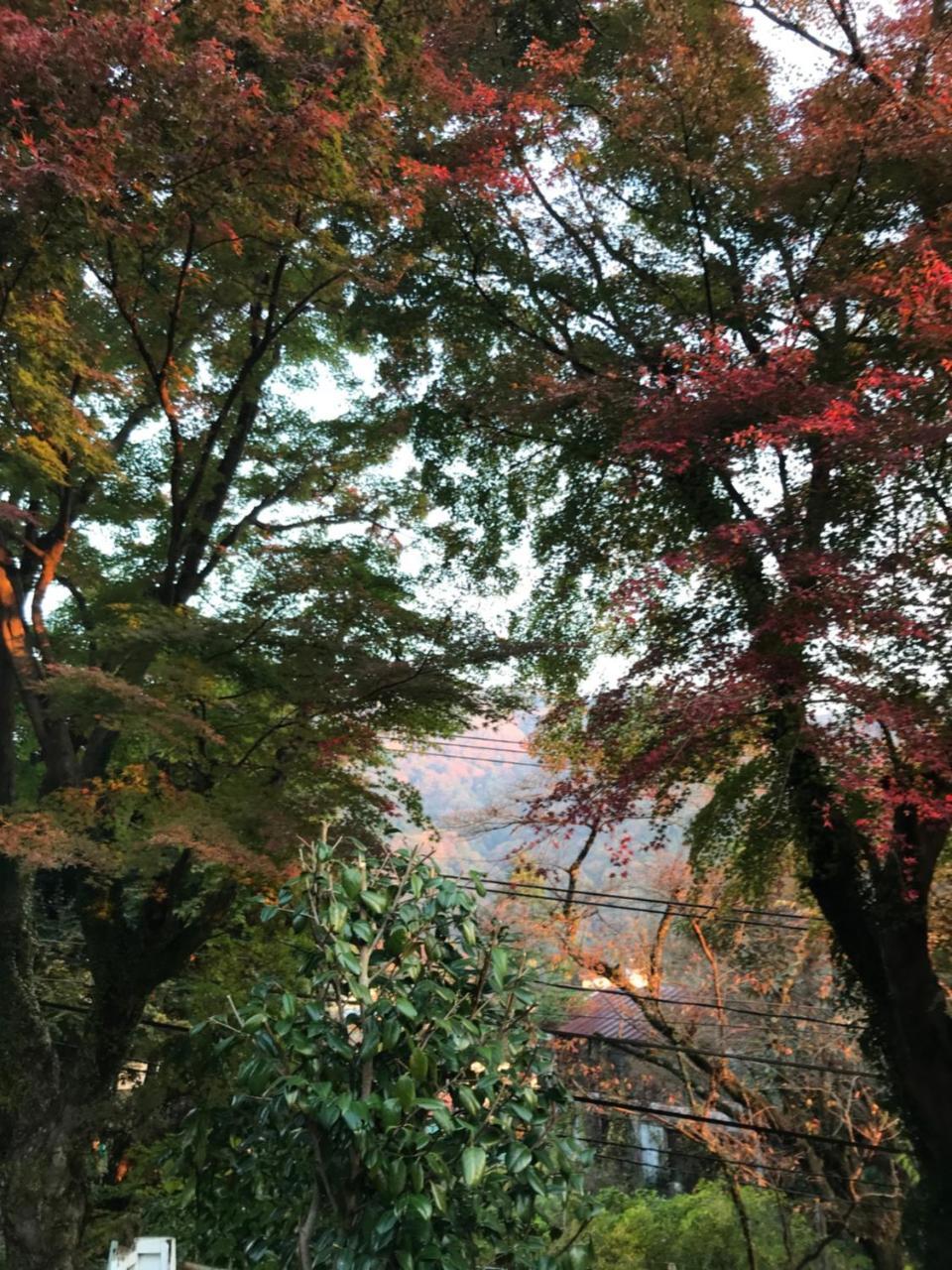 Hotel Umimoto Hakone Exteriér fotografie